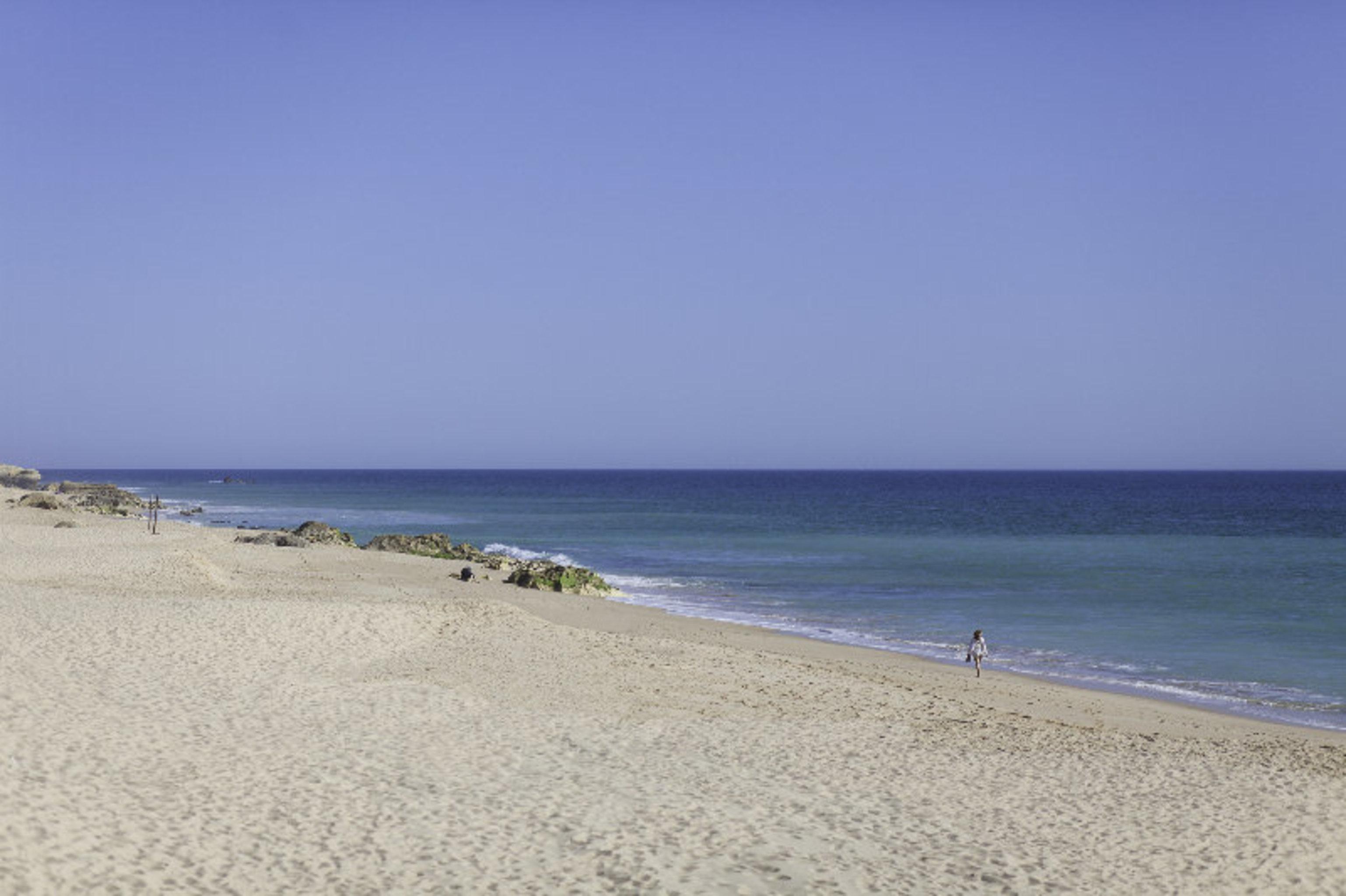 Vidamar Resort Hotel Algarve Albufeira Dış mekan fotoğraf